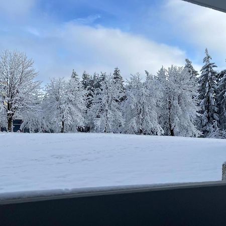 Ferienwohnung Auenglueck Hahnenklee Harz Goslar Extérieur photo