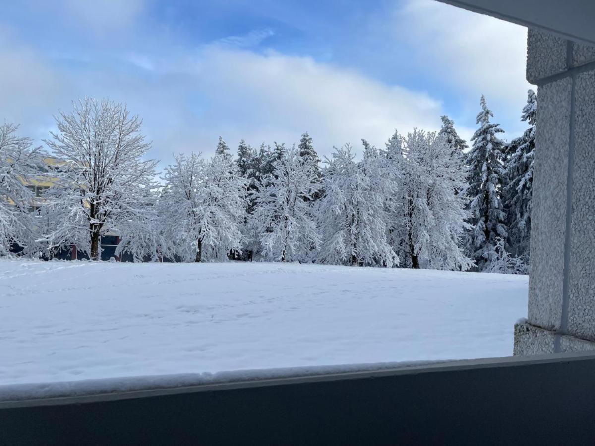 Ferienwohnung Auenglueck Hahnenklee Harz Goslar Extérieur photo